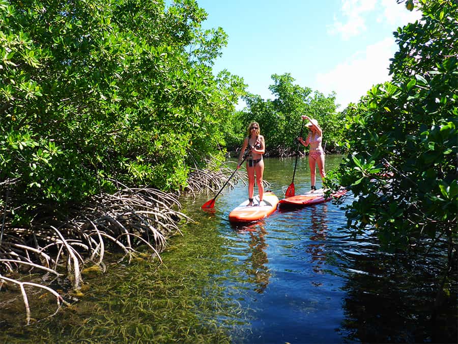 Le SUP en Guadeloupe Visite de Morne-Rouge - 06
