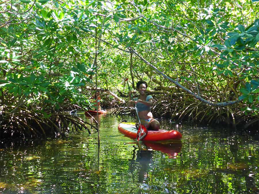 Le SUP en Guadeloupe Visite de Morne-Rouge - 07