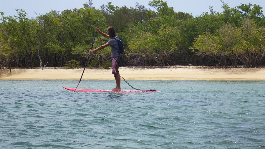 Excursion Petit Canal en Stand up Paddle en Guadeloupe - 03