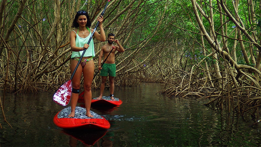 Excursion Petit Canal en Stand up Paddle en Guadeloupe - 05