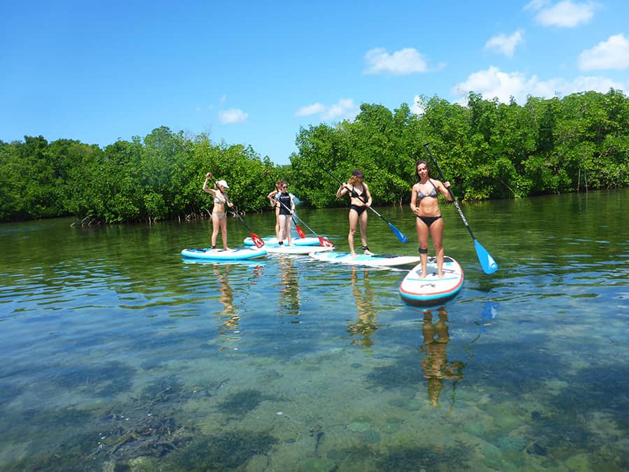 Le stand up Paddle en Guadeloupe excursion anse Babin- 02