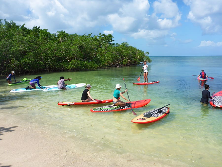 Le stand up Paddle en Guadeloupe excursion anse Babin- 05