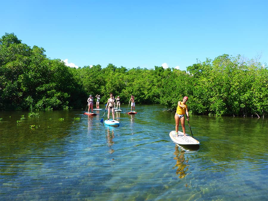 Le stand up Paddle en Guadeloupe excursion anse Babin- 06