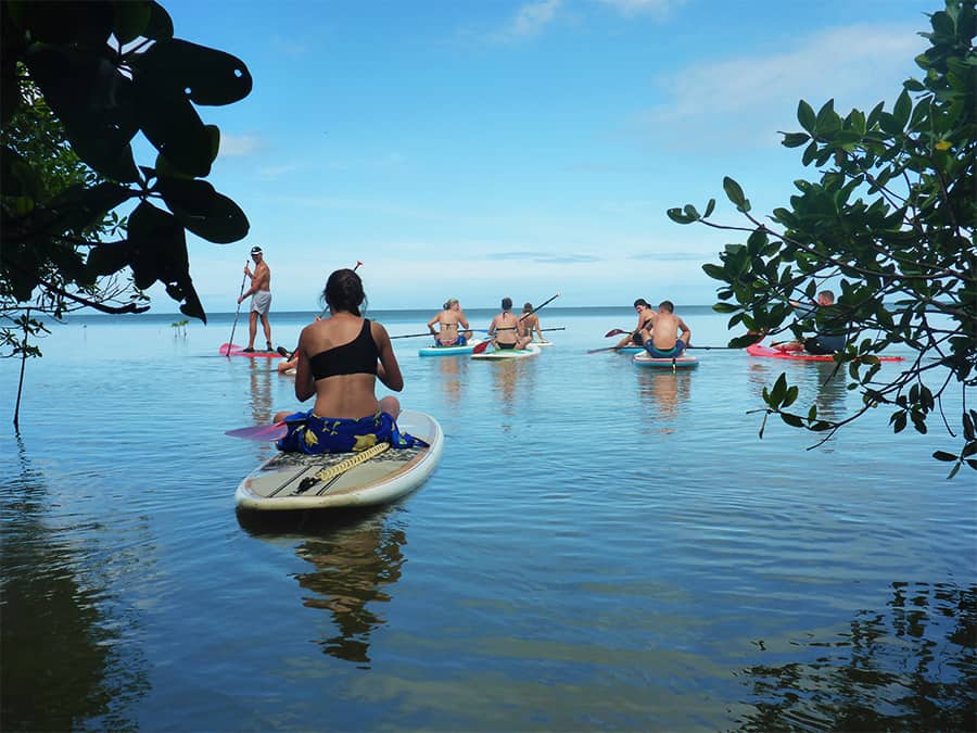 Le stand up Paddle en Guadeloupe excursion anse Babin- 09
